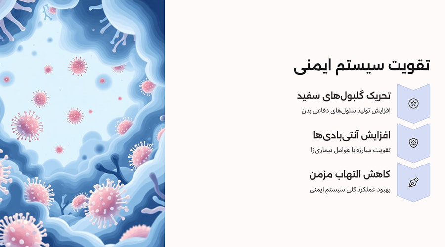 خواص حجامت برای تقویت سیستم ایمنی