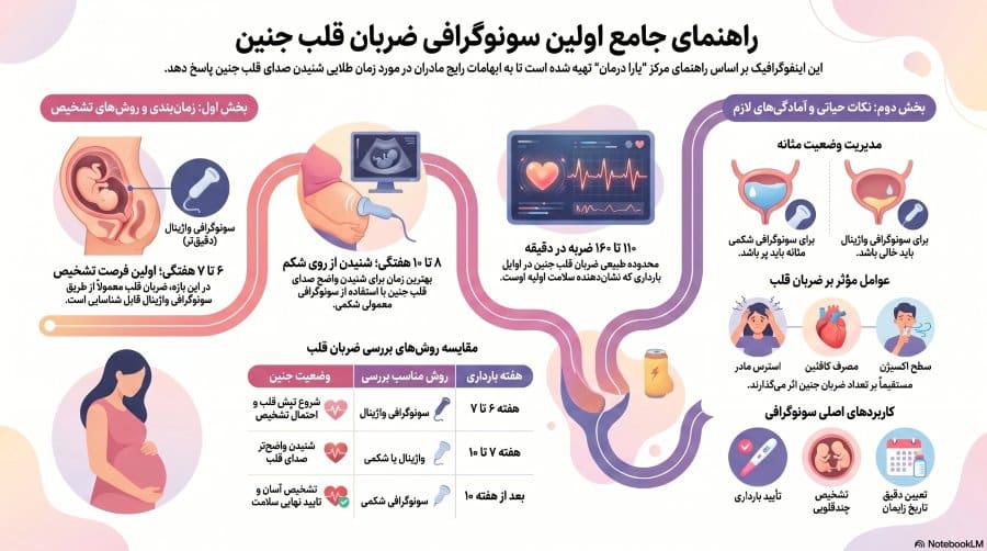 راهنمای اولین سونوگرافی قلب جنین