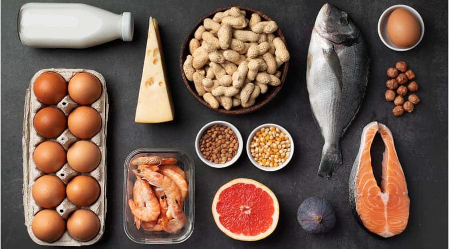 بهترین غذا برای کم‌خونی