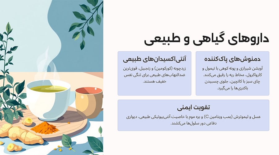 بهترین داروهای گیاهی و طبیعی برای آلودگی هوا