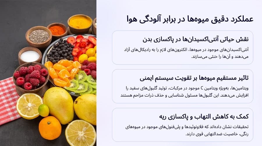 عملکرد میوه‌ها در برابر آلودگی هوا