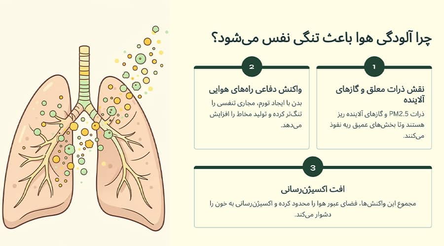 چرا آلودگی هوا باعث تنگی نفس می‌شود؟